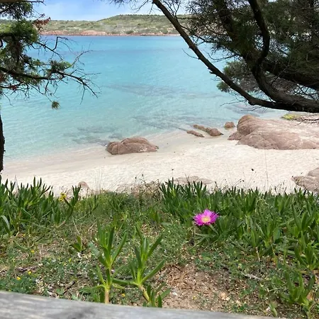 Appartement Li Sireni La Frisaia Bilocale Vista Mare Fp7 Trinita D'agultu E Vignola